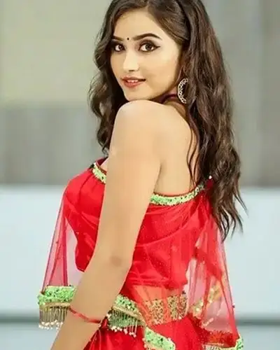 Call Girls Service Shenkottai
